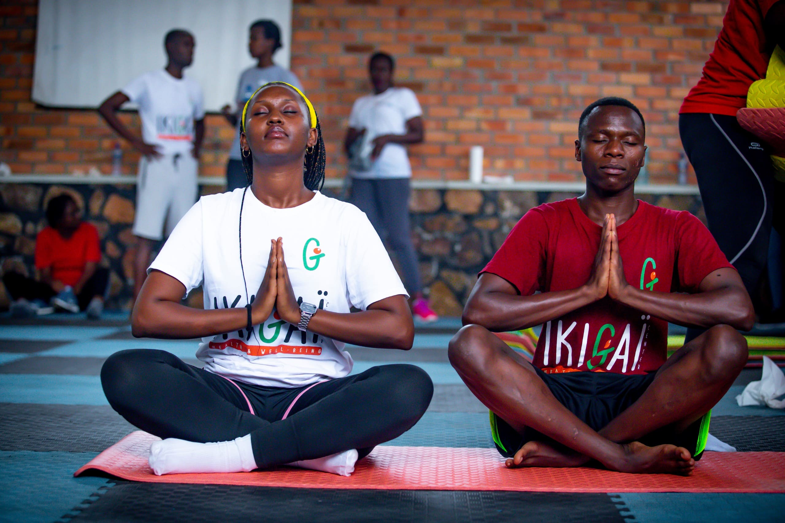 Wellness, Massage & Activities